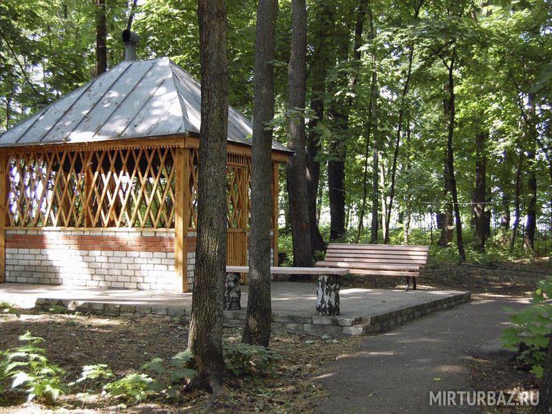 Березка, Ульяновская область: фото 2