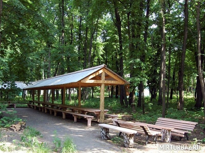 Березка, Ульяновская область: фото 3