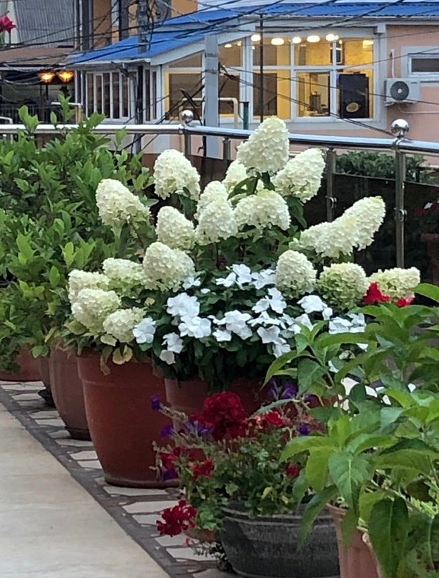 Флоренция, Краснодарский край: фото 5