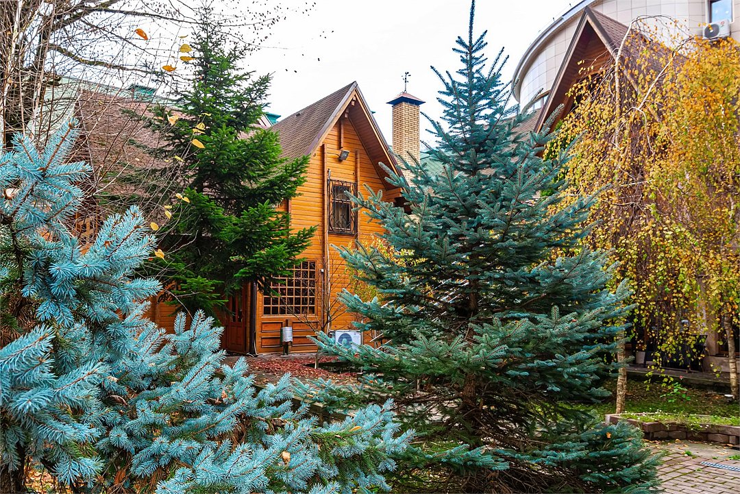 Fairy House, Краснодарский край: фото 5