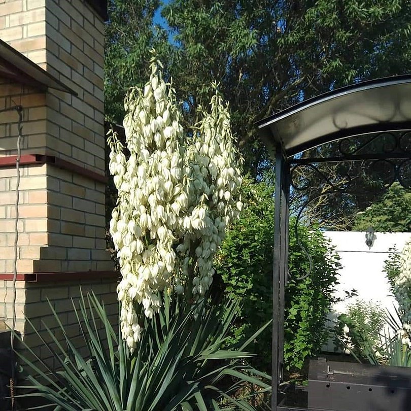 Морская 51, Краснодарский край: фото 5