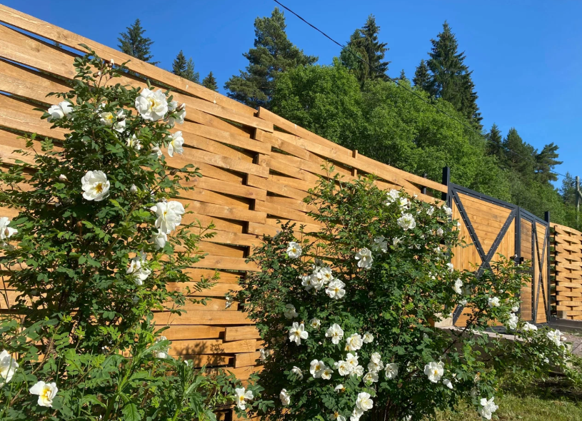 Берлога люкс, Республика Карелия: фото 4