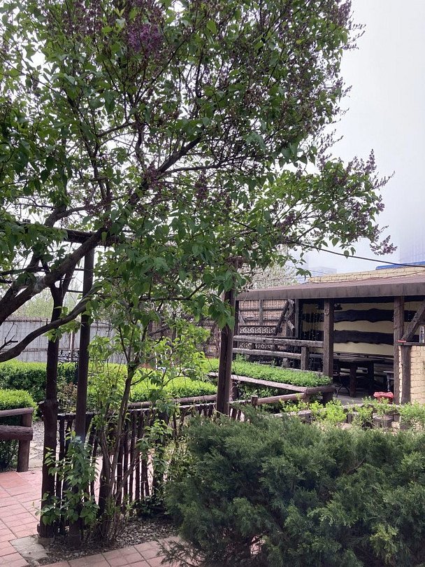 Штурман, Волгоградская область: фото 3