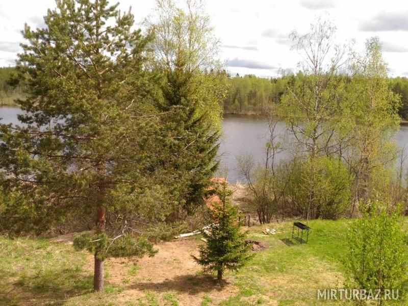 Савкино Village, Новгородская область: фото 4