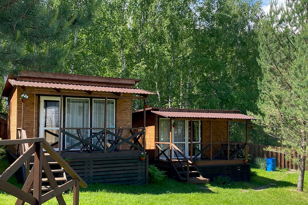 Шишкин лес, Горный Алтай (Республика Алтай): фото 3