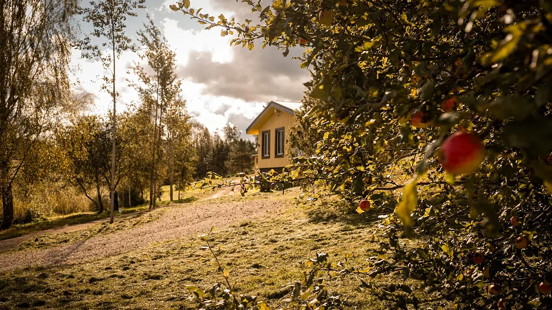 Рео Рест — Уютный берег, Псковская область: фото 3