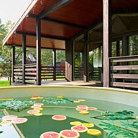 Lato-65 Sauna, Частный домик в соснах, деревня Красный Огорок