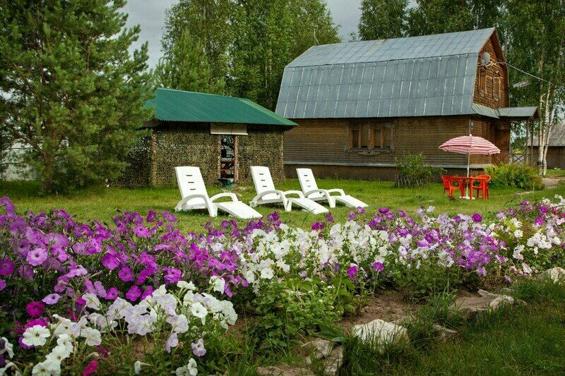 Река Чаек, Нижегородская область: фото 3