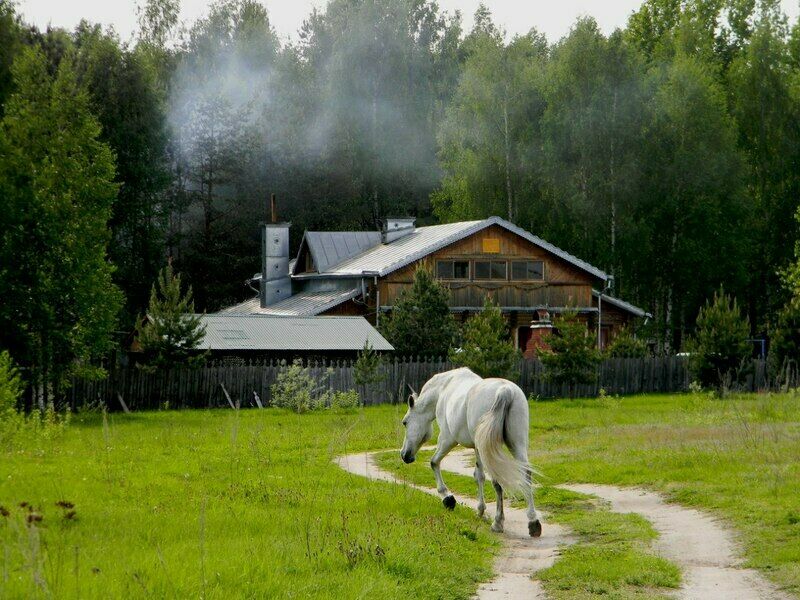 Река Чаек, Нижегородская область: фото 4