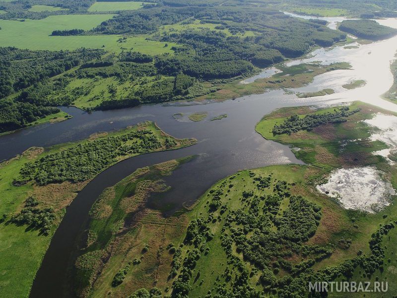 GAGARINLOVE, Смоленская область: фото 5