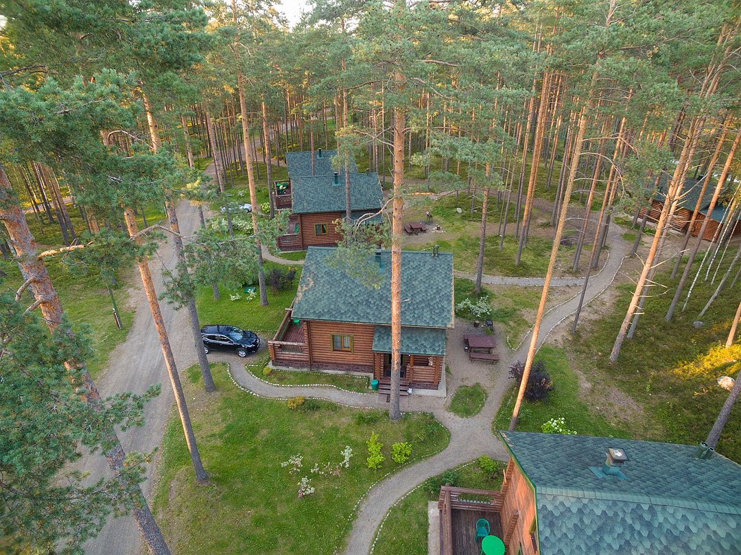 Громово парк, Ленинградская область: фото 2