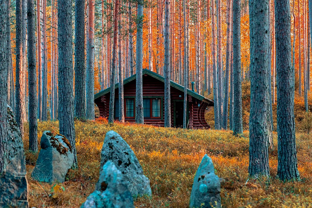 Громово парк, Ленинградская область: фото 4