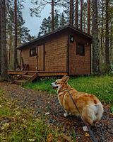 Домик на двоих (возможно заселение с питомцем), Глэмпинг NewCamp, поселок Эссойла