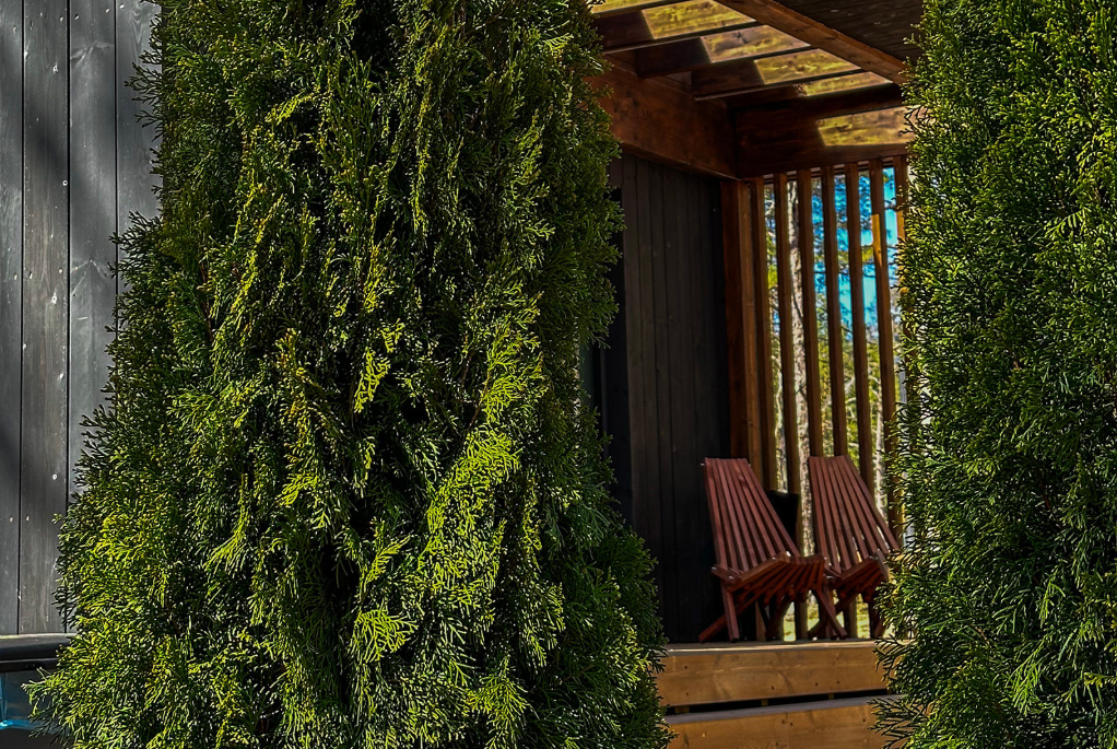 Мы здесь , Ленинградская область: фото 5