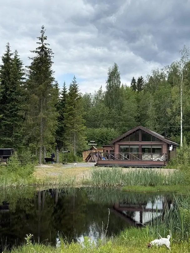 Scandi house, Республика Карелия: фото 3