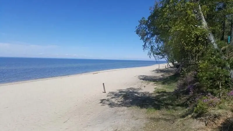 База отдыха Тенсуури, Кабанский район, Республика Бурятия
