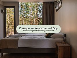 Первая категория «Стандарт» с видом на Караканский бор, База отдыха Оазис, деревня Абрашино