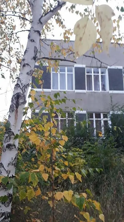 Дом в аренду Усадьба  Знаменская, Яровое, Алтайский край