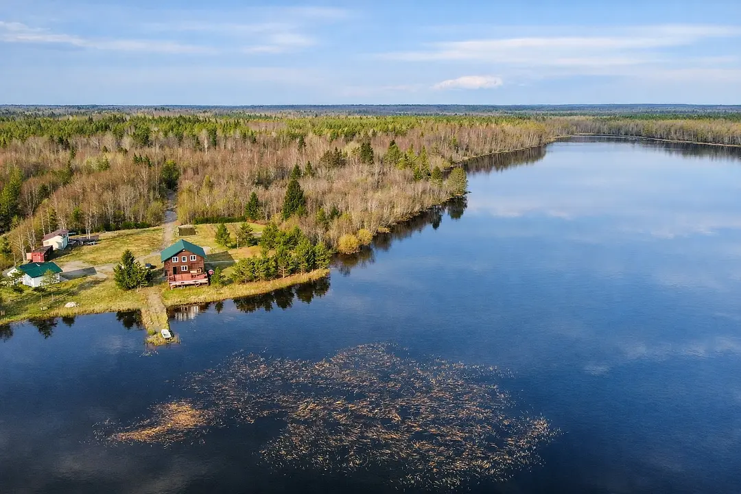 у oзepа в Кpошнозеро , Республика Карелия: фото 2