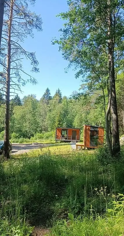 Морошка, Республика Карелия: фото 3