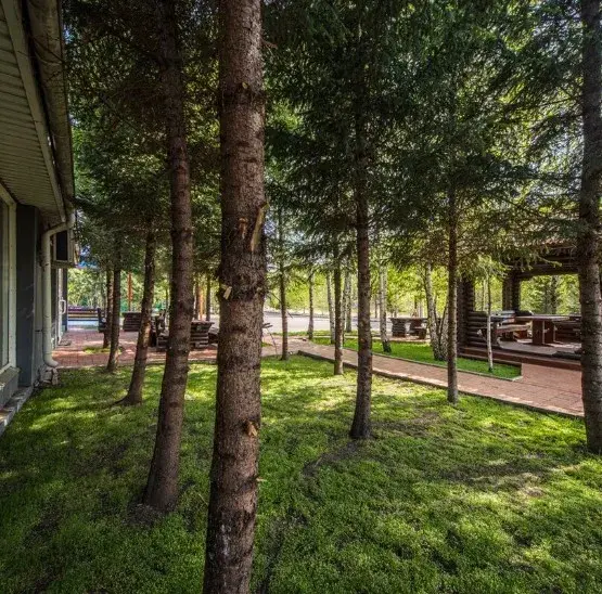 Welcome Home, Красноярский край: фото 2