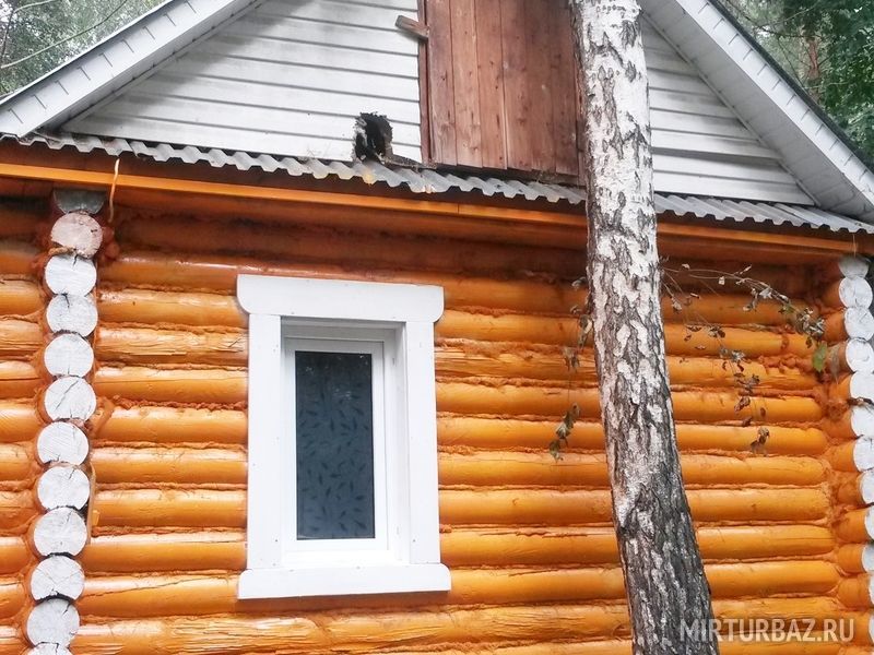 У Михалыча, Республика Татарстан: фото 4