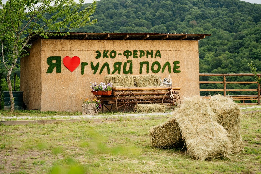 Эко-ферма Гуляй поле, Краснодарский край, Адлерский район 