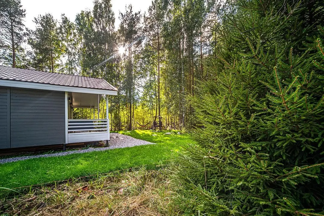 Soroka Home 2, Ленинградская область: фото 3