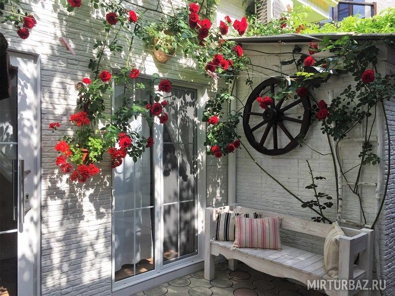 Мини-гостиница Viktoriya, Крым, Евпатория 