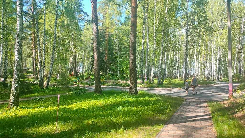 Фото из отзыва от 16.05.2026