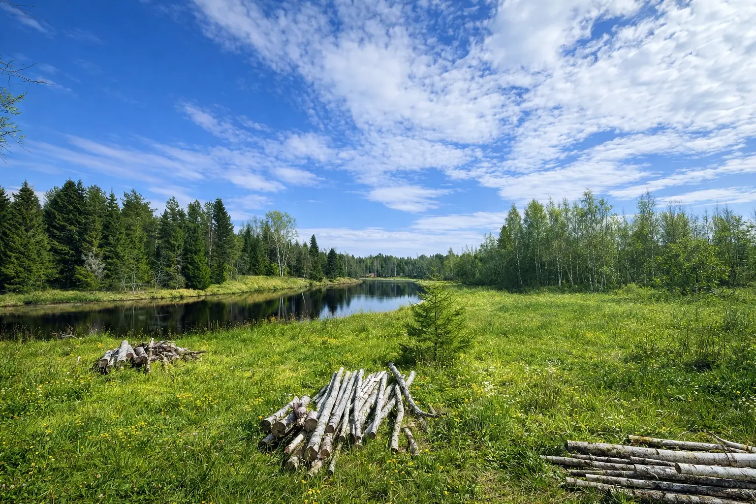 У реки с лососем, Республика Карелия: фото 3
