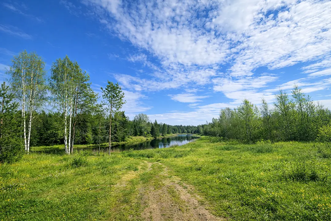 У реки с лососем, Республика Карелия: фото 4