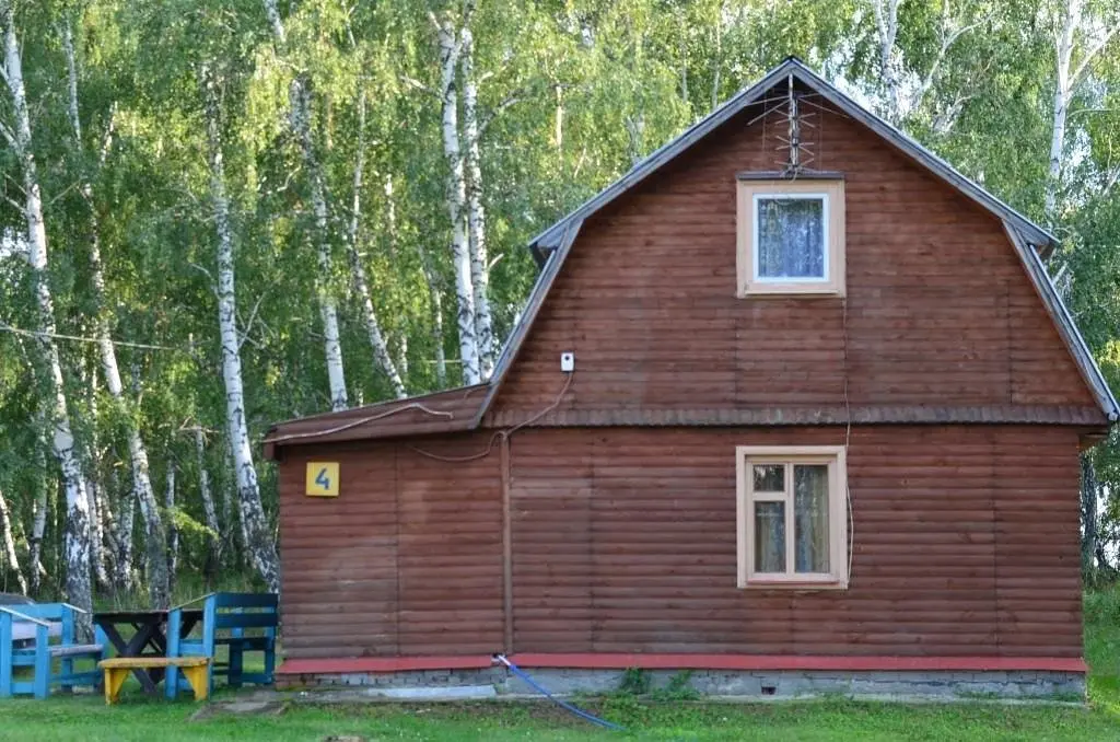 Эдельвейс, Челябинская область: фото 2