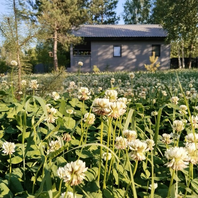 Загородный дом Сосны.Тут, Самарская область: фото 3