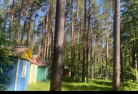1-мест. (разм. в 2-мест.) деревянный домик, Дом отдыха Прибрежный, поселок Белое Озеро