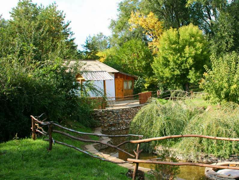 Губерния, Волгоградская область: фото 5