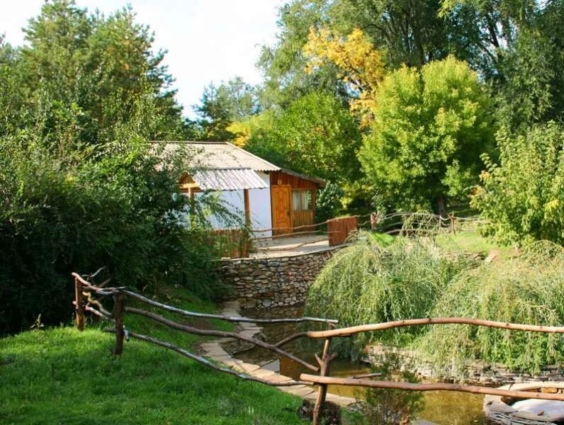 Губерния, Волгоградская область: фото 5