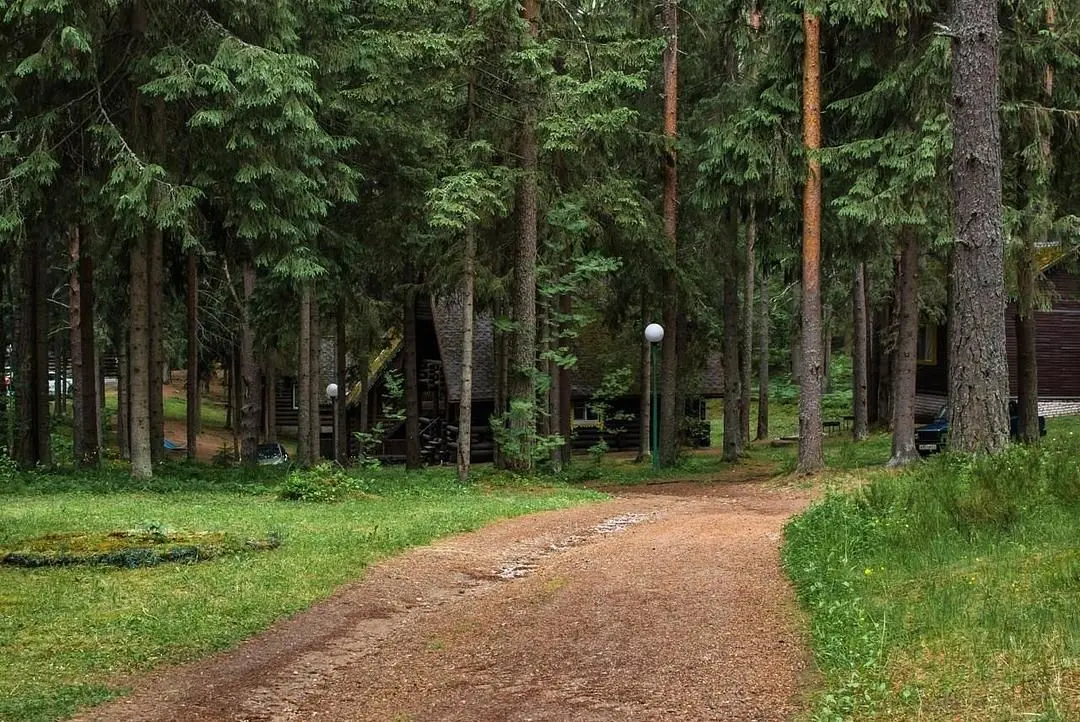 Берендеево царство, Новгородская область: фото 2