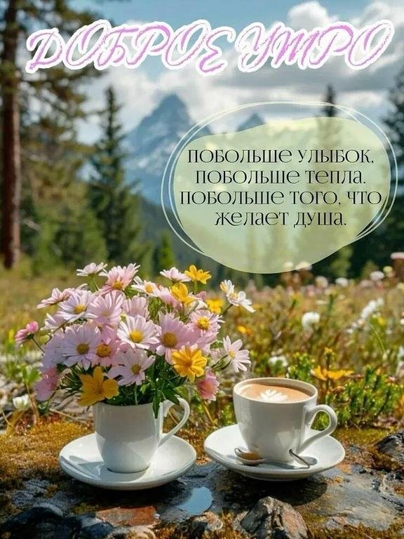Фото из отзыва от 20.06.2026