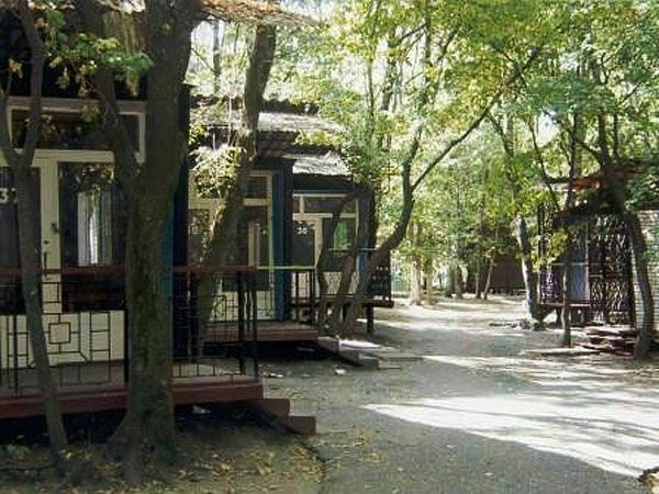 База отдыха Металлург, Ростовская область, Таганрог 