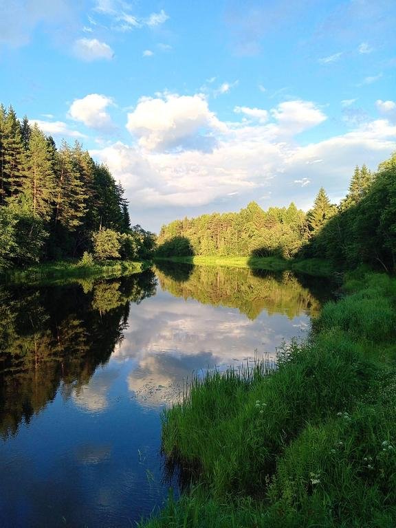 Фото из отзыва от 15.06.2026