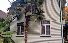 4-х местный стандарт ПК, База отдыха Золотая бухта, Пицунда