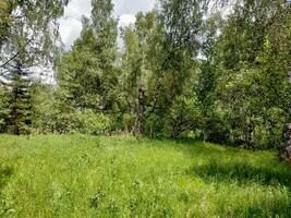 Стоянка №4, Турбаза Дом на Селигере в Ивановском, деревня Ивановское