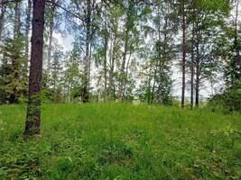 Стоянка №5, Турбаза Дом на Селигере в Ивановском, деревня Ивановское