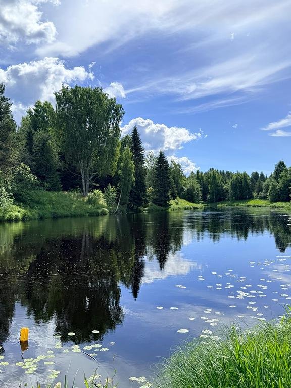 Фото из отзыва от 27.06.2026