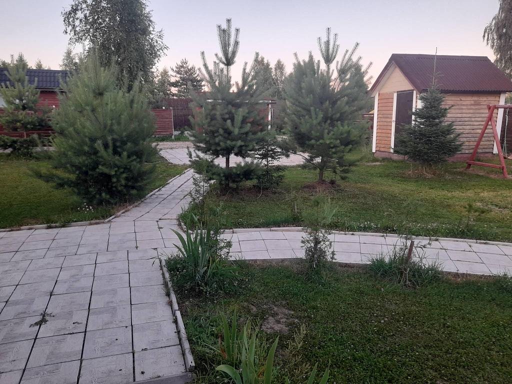 Фото из отзыва от 03.07.2026