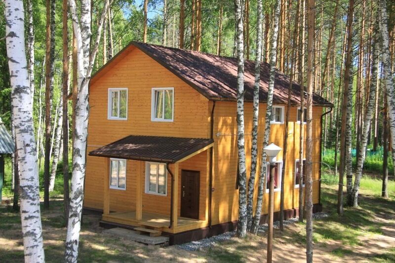 Дача Липенка, Вологодская область: фото 3