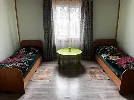 Эконом двухместный с 2 односпальными кроватями Номера: 9, Гостевой дом Гостиный Дворъ, село Гремячинск