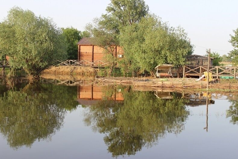 Олигри Фиш, Астраханская область: фото 2