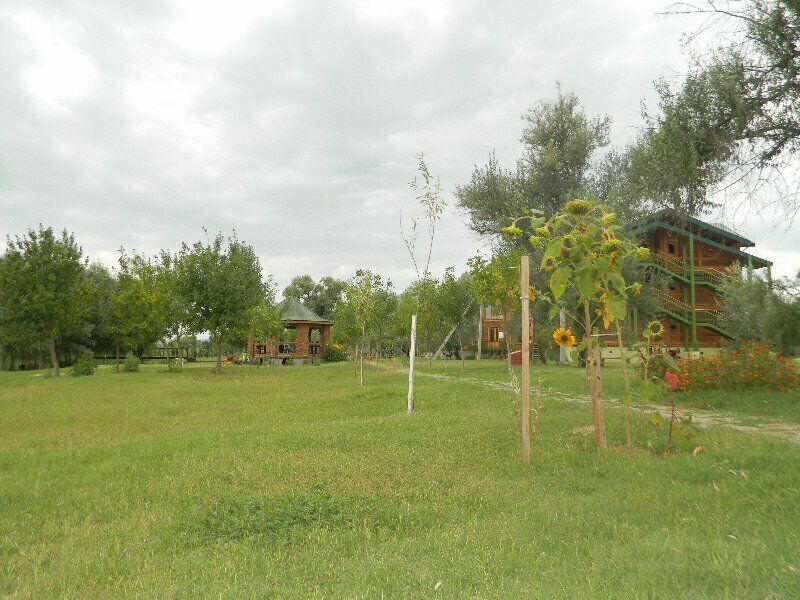 Маки, Астраханская область: фото 4